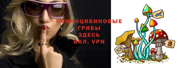 ECSTASY Богородицк