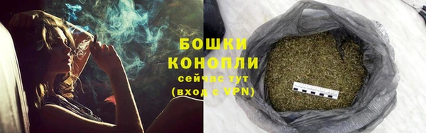 мескалин Богданович