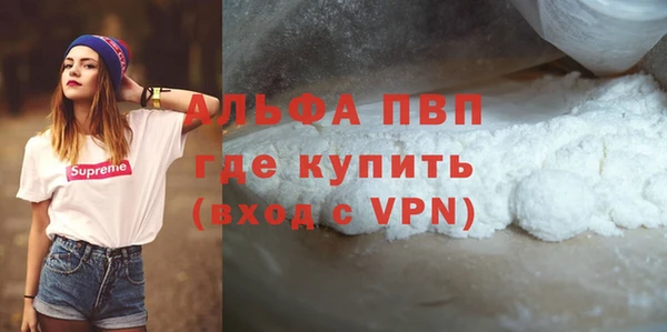 ECSTASY Богородицк