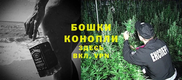 мескалин Богданович