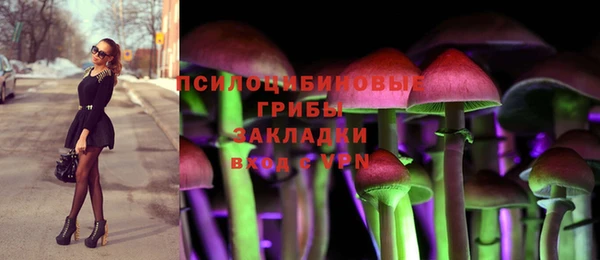 ECSTASY Богородицк