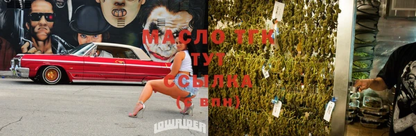 ECSTASY Богородицк