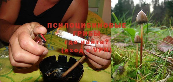 мескалин Богданович