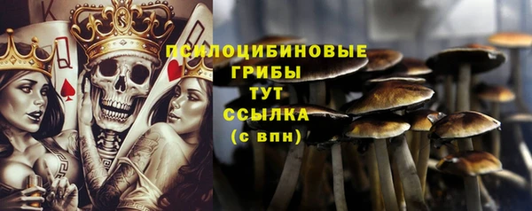синтетический гашиш Богородск