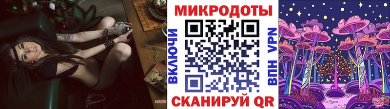 что такое наркотик  Горно-Алтайск  Псилоцибиновые грибы Psilocybine cubensis 