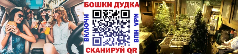 ссылка на мегу онион  Горно-Алтайск  Шишки марихуана MAZAR 